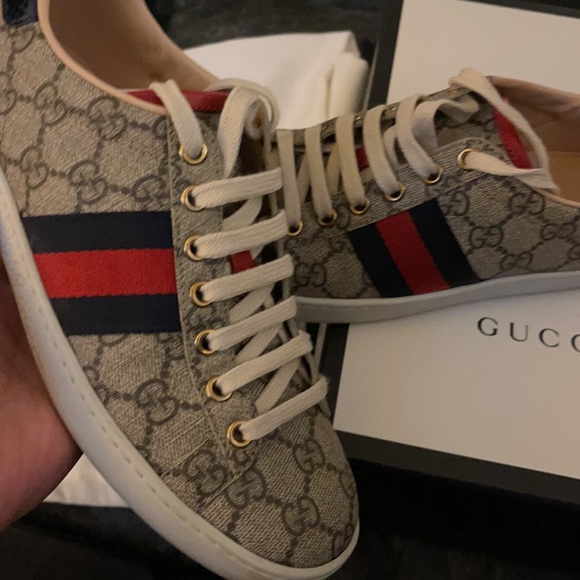GUCCI SUPREME Aces Low 💯 Authentic - Picture 4 of 13